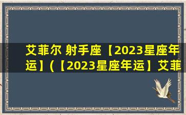 艾菲尔 射手座【2023星座年运】(【2023星座年运】艾菲尔射手座运势详解)